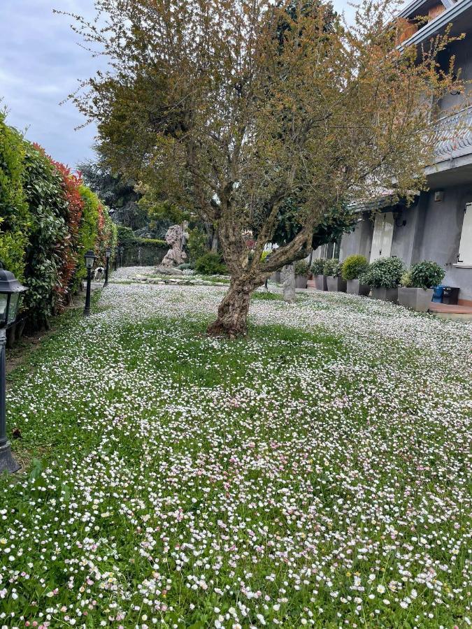Отель Magnolia Савиньяно-суль-Рубиконе Экстерьер фото